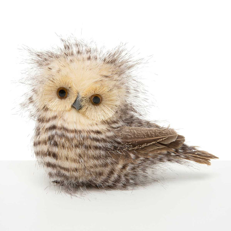 7" FEATHERED OWLET