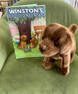 WINSTON'S DAY OUT CHILDREN'S BOOK