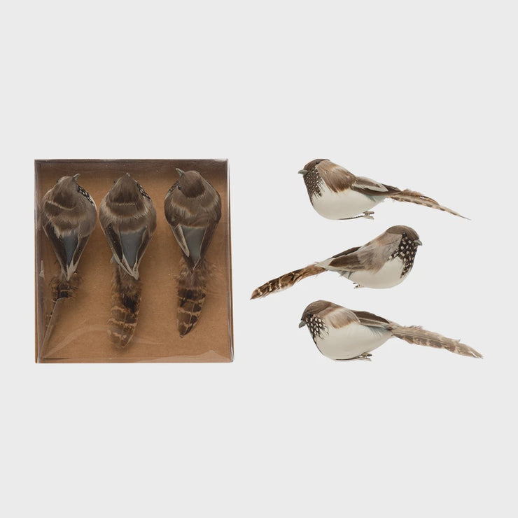 SET OF 3 BLUE/BROWN FEATHERED BIRD